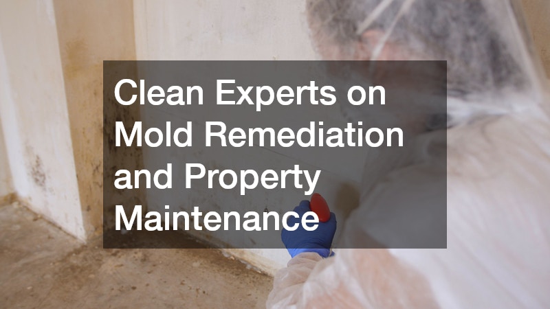 Clean Experts on Mold Remediation and Property Maintenance
